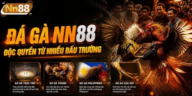 Sân chơi đá gà độc quyền từ nhiều đấu trường