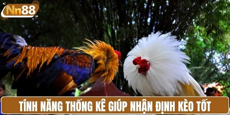 Tính năng thống kê giúp người chơi nhận định kèo tốt